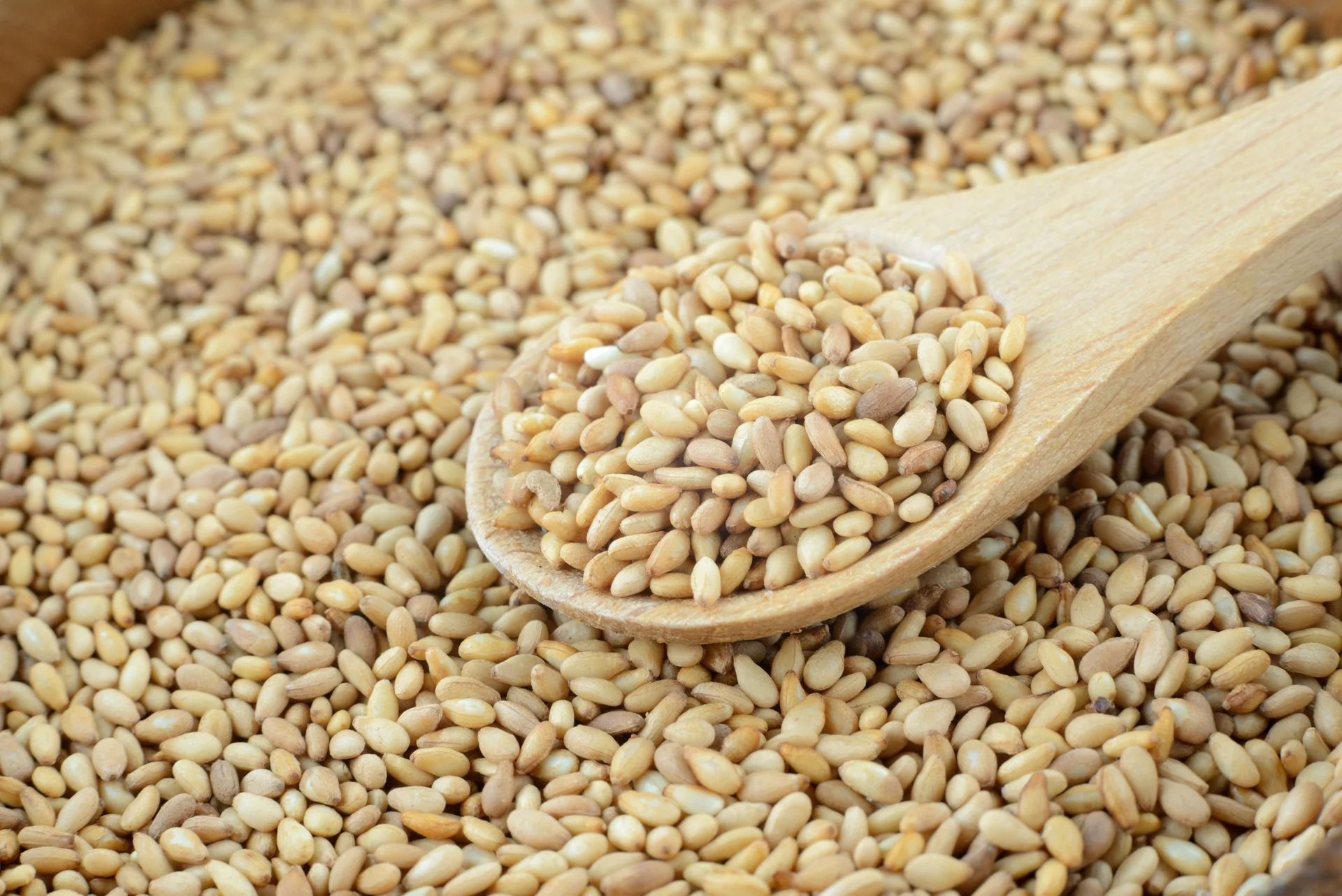 Nigerian sesame seeds