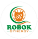 Robok International Logo
